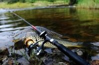 Поплавочная удочка для карповой рыбалки