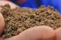 Как прикармливать карпов при низкой температуре воды
