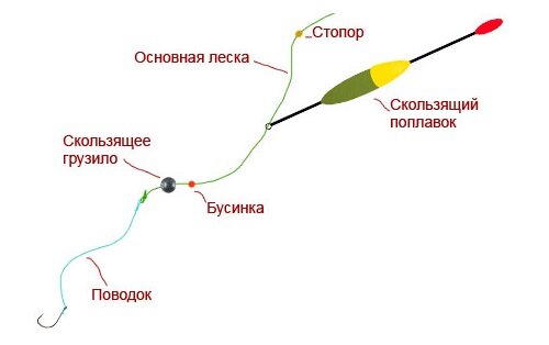 попловок