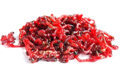 карась на мотыля