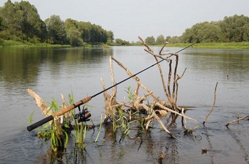 жара на реке