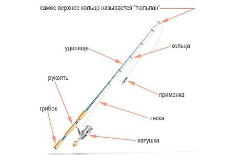 как устроен спиннинг 