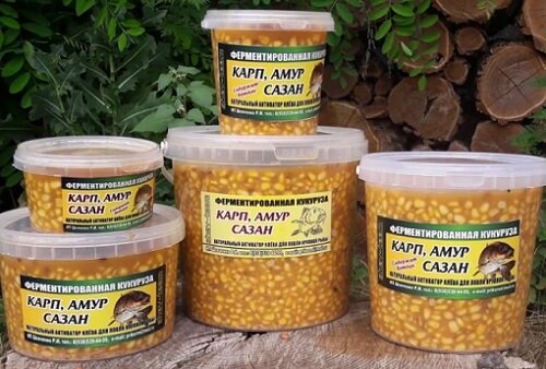 Ферментированная кукуруза на карпа
