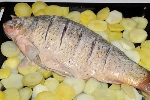картошка и карп