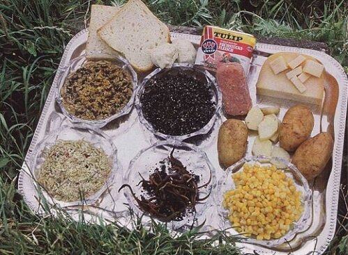 прикормка своими руками