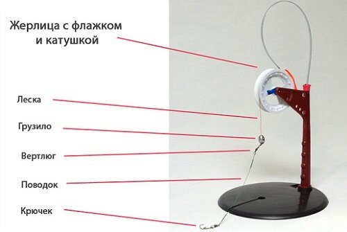 устройство жерлицы